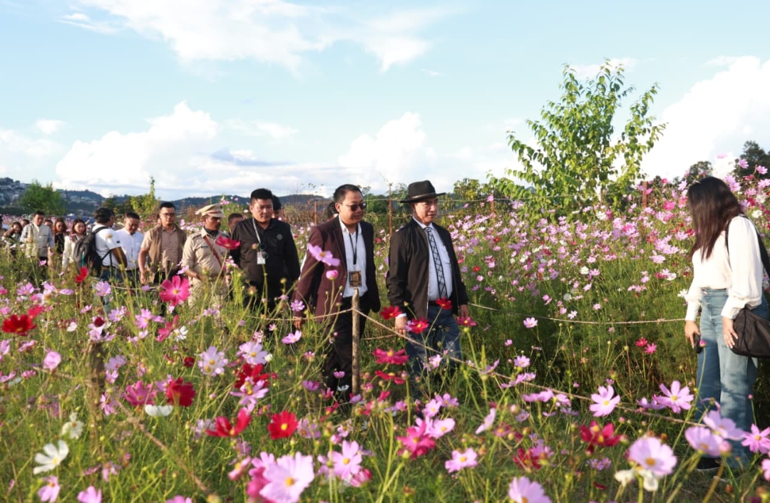 Hnahsin Kut chhimtu an tam