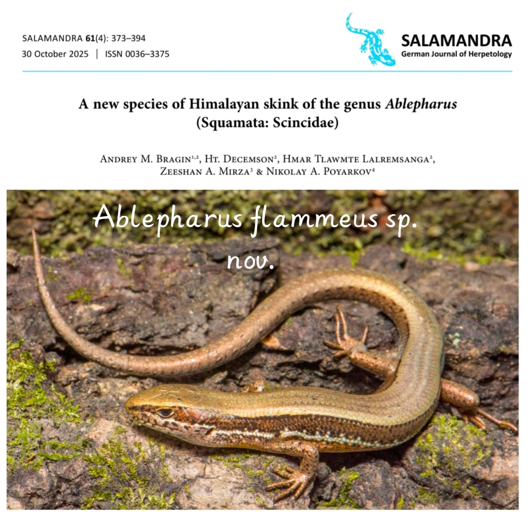 Ram laitel chi thar hmu chhuak