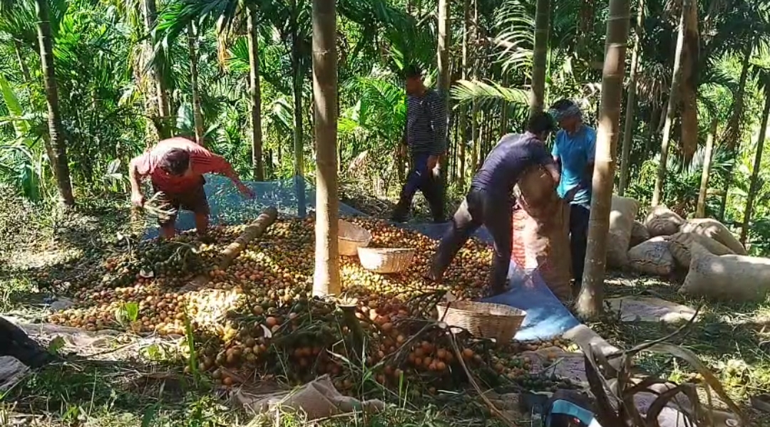 Rengdil khuain kuhva rah an hralh hnem hle