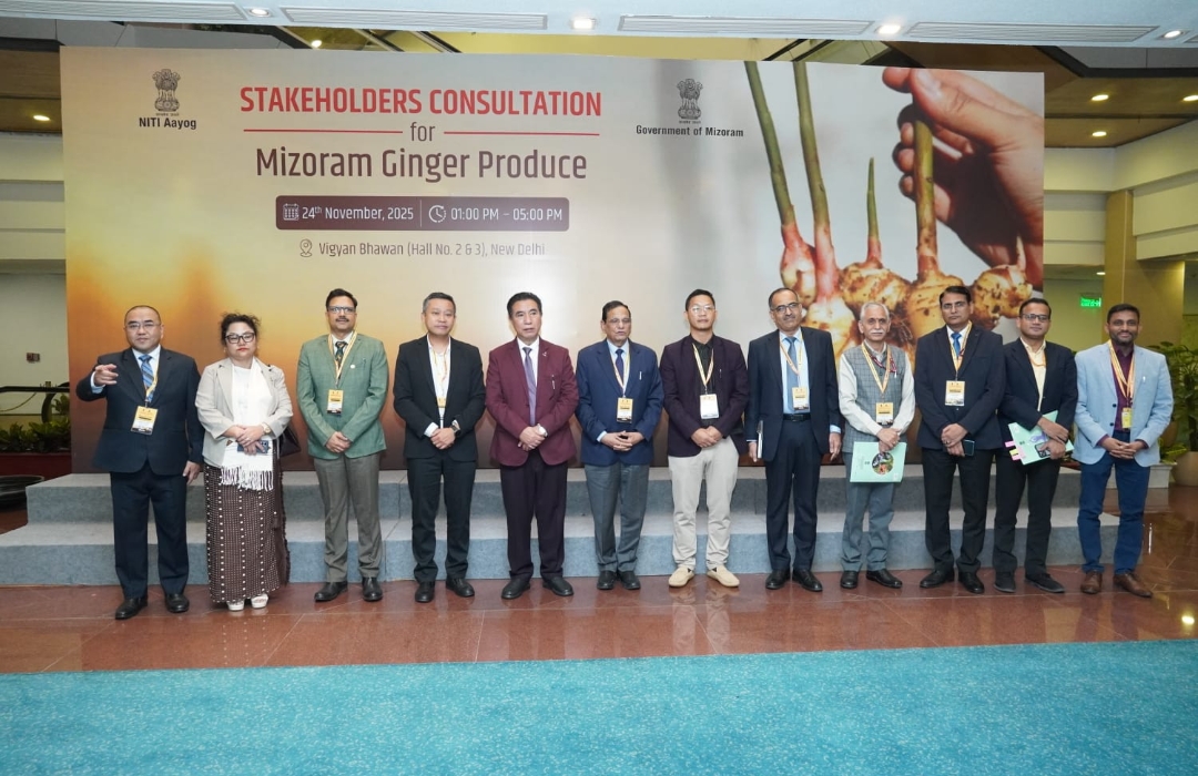 Delhi-ah sawhthing sawiho a ni