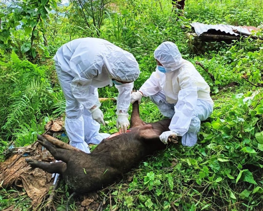 Zangnadawmna pe chhuak