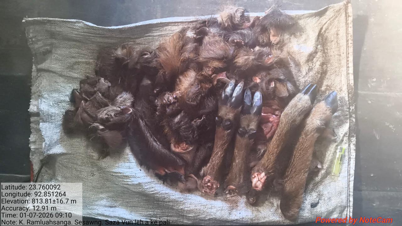 Saza peltua puh jail-ah dah