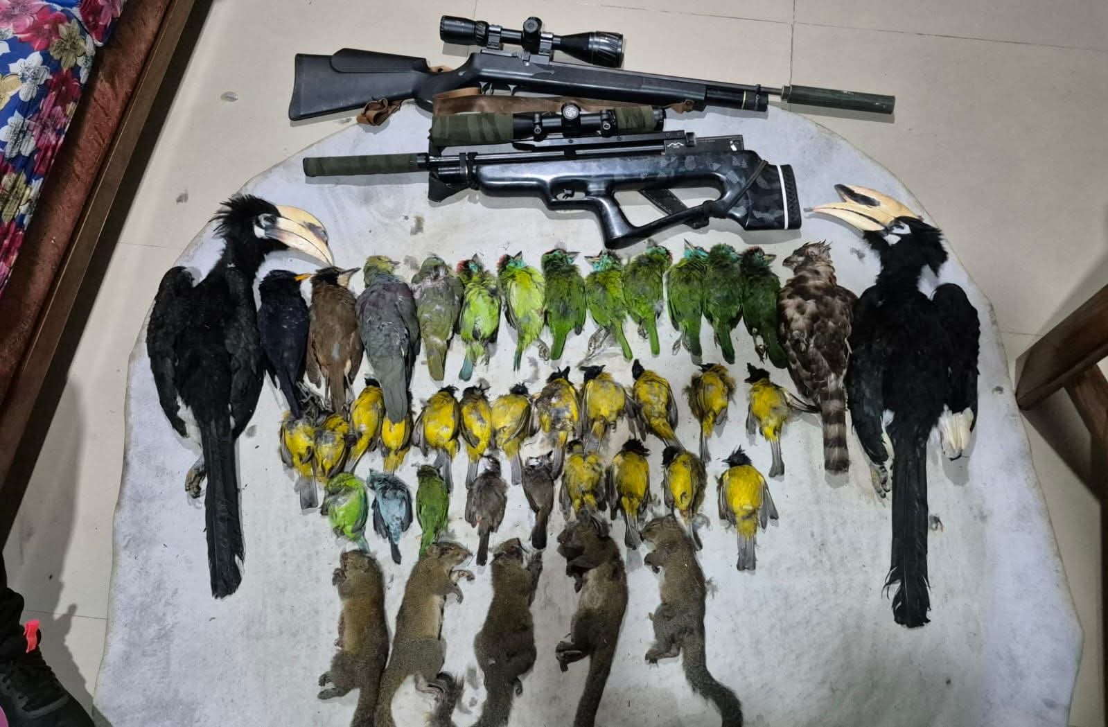 Sava kaptute man an ni