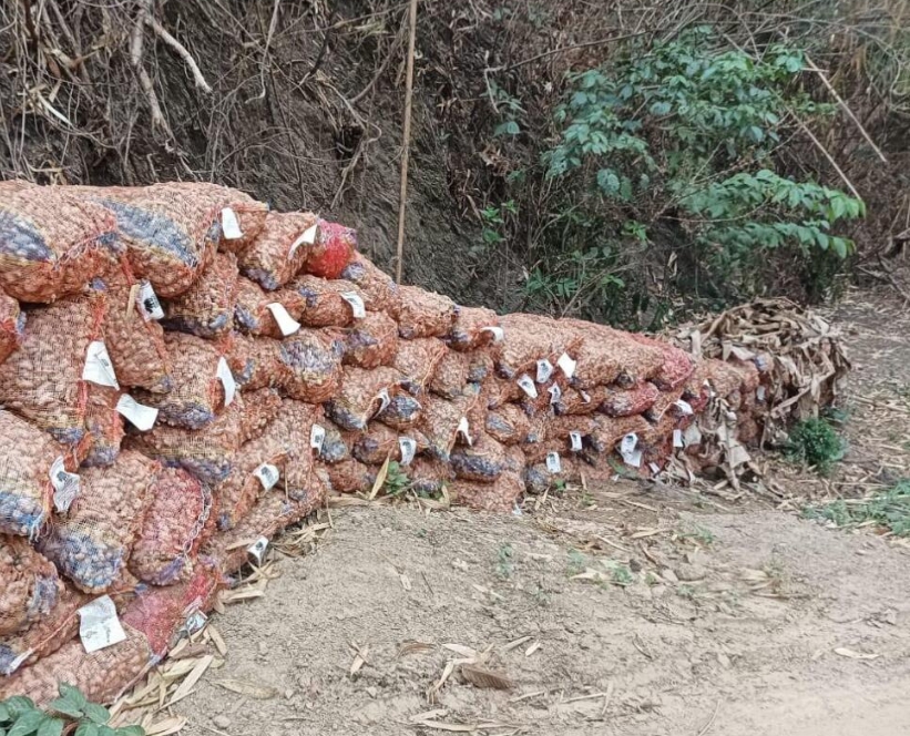 Sawhthing man bituk thar