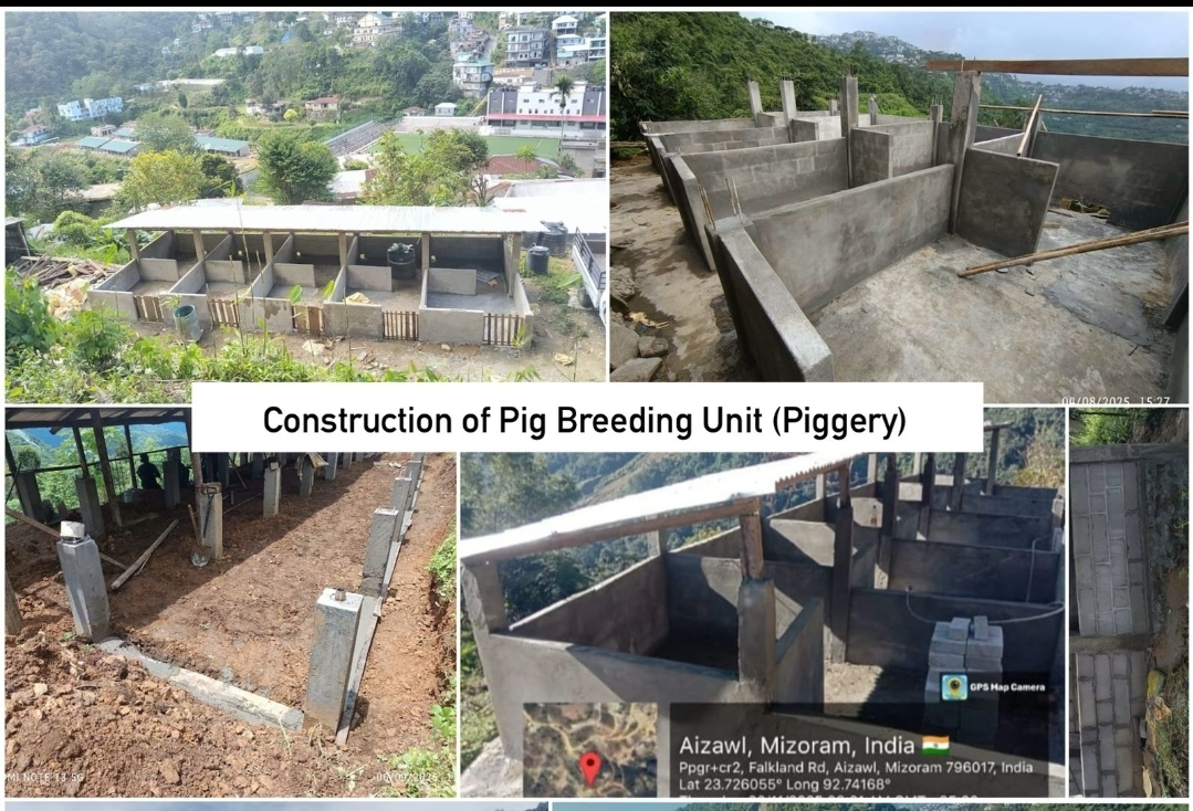 Corporator-in sum ngaihtuah sak