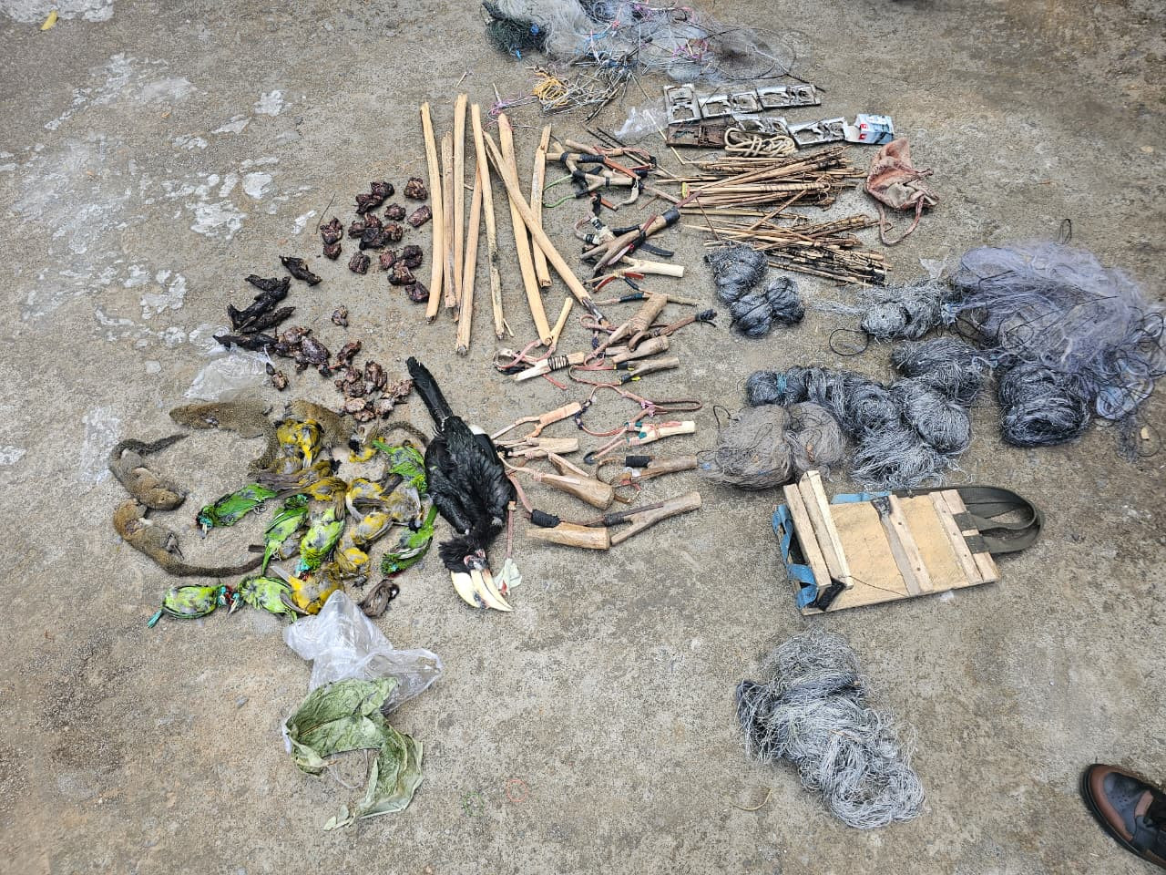 Dan phal lo thil hal ral